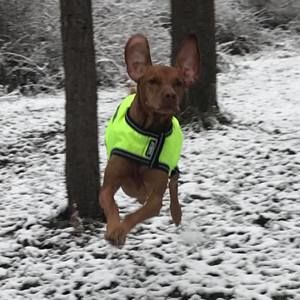 Meet your Posher, Mike